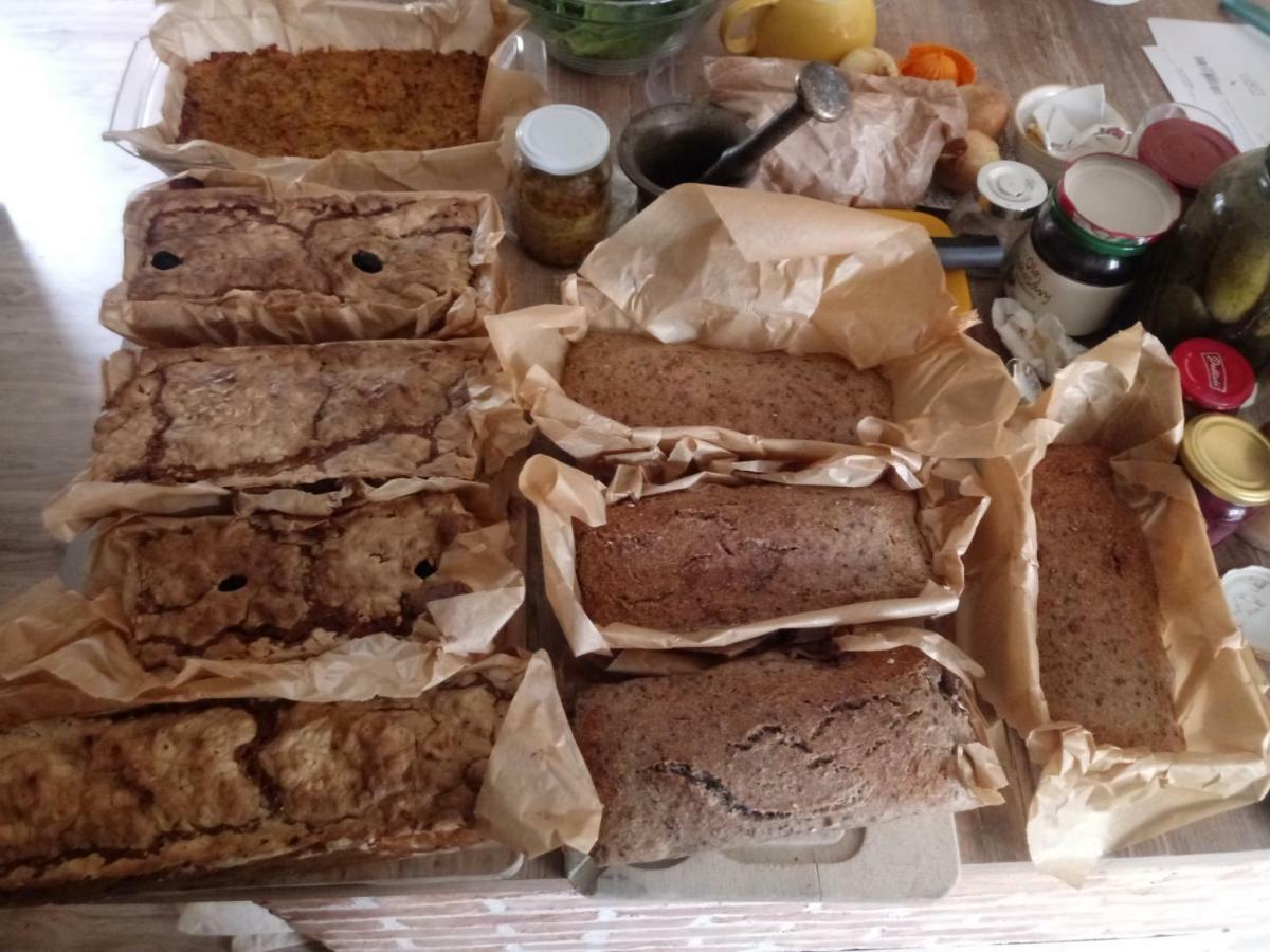 Zakatek Szczescia Eko Agroturystyka Kiwity المظهر الخارجي الصورة